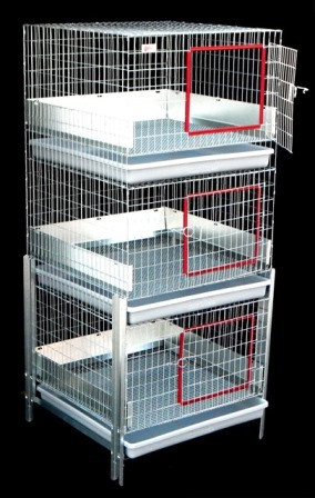 stacked guinea pig cages