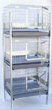 stacked guinea pig cages